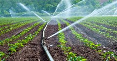 water irrigation photo